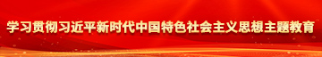 草骚比影视学习贯彻习近平新时代中国特色社会主义思想主题教育